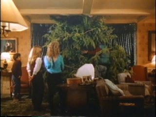 National Lampoon's Christmas Vacation  | Comedy