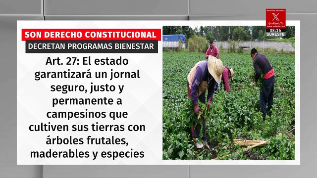 Sheinbaum hace derecho constitucional las reformas de pensiones, vivienda y Sembrando Vida