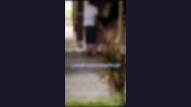 POUCA VERGONHA! Pessoas são flagradas fazendo sexo à luz do dia em quiosque de São Vicente