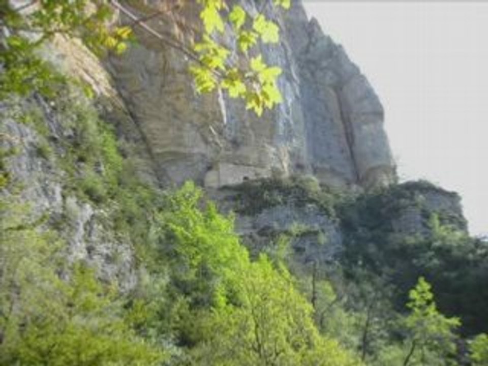 Saints Pons et Honoré le 26.04.08