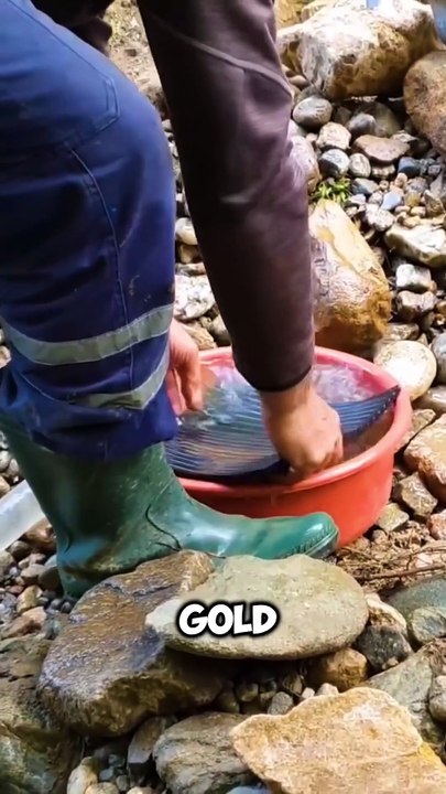 Victorian Gold Rush in Australia! #goldrush #goldprospecting