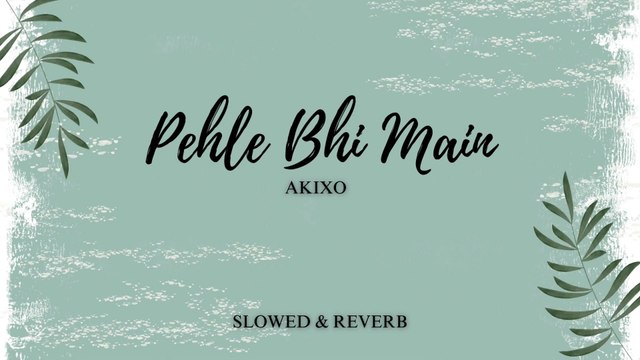 Pehle Bhi Main (Slowed + Reverb) | Vishal Mishra | Animal