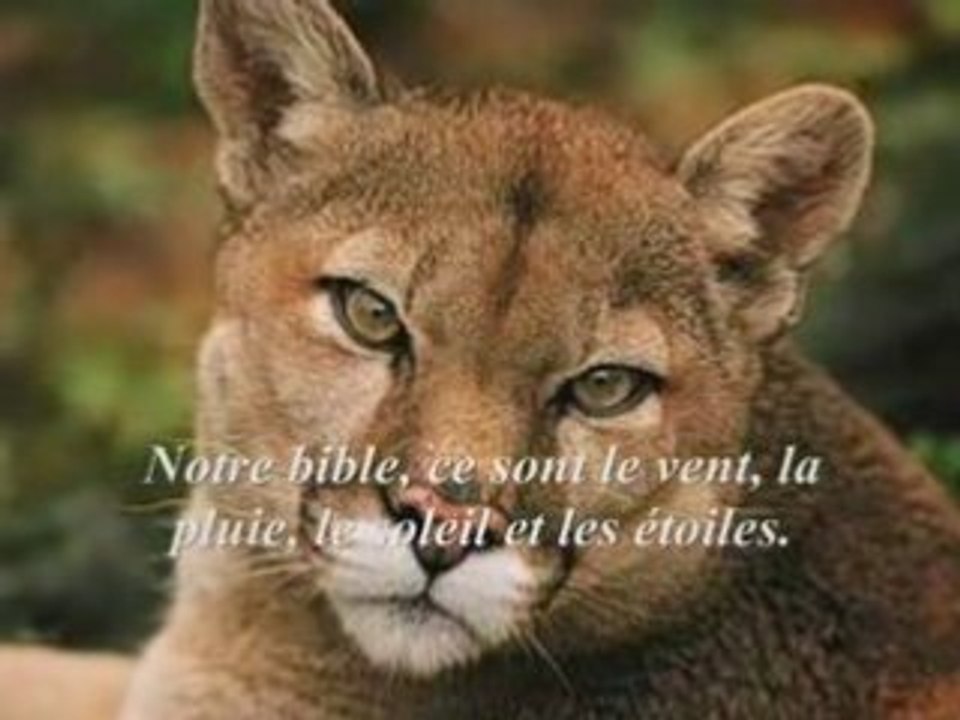 Tout est si simple