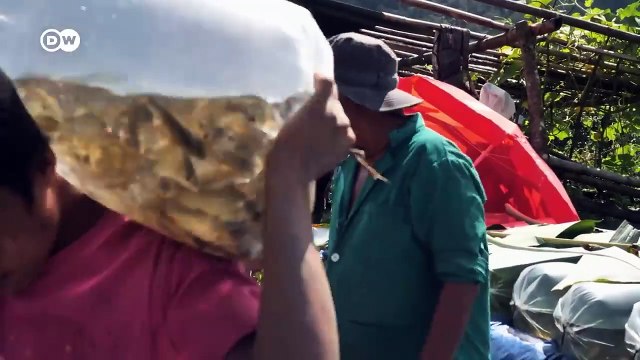 Bután - Un viaje al sur desconocido _ DW Documental(720P_HD)