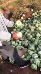 ظاهرة سلبية انتشرت عند بعض التجار مؤخراً!