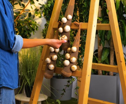 Conseils essentiels pour un jardin plein de vie !