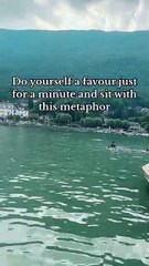 Do yourself a favour just for a minute and sit with this metaphor #motivation #quotes #success #mindset #motivational #motivationalvideo