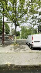 #quotes #motivation #success #mindset #motivational (2)