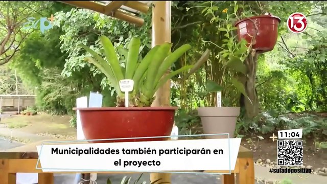 Pase en vivo - Este es el vivero regional que usted puede encontrar en Costa Rica