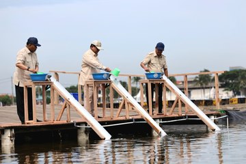 Prabowo Kunjungi Tambak Ikan Nila Salin di Karawang, Cek Potensi Bahan Makan Bergizi Gratis
