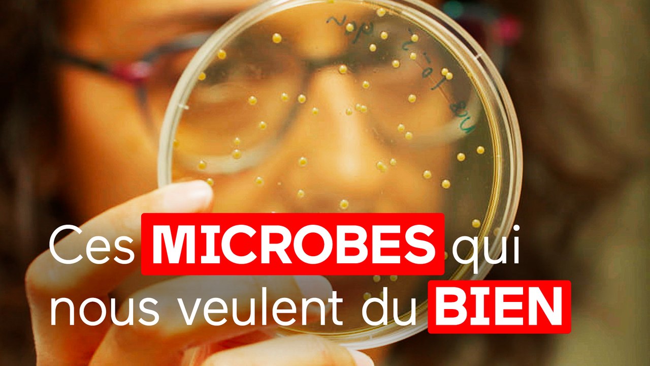 Ces microbes qui vous veulent du bien