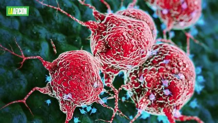 Muere Israel 'Magnífico' Vázquez, excampeón de boxeo mexicano, a los 46 años