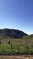 Forzoso aterrizaje de un helicóptero del Ejército en Mendoza
