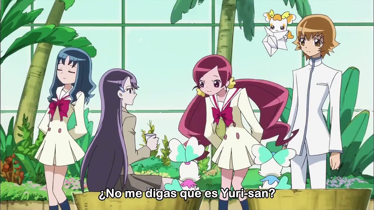 [Sub Esp] Heartcatch Precure! - Episodio 42