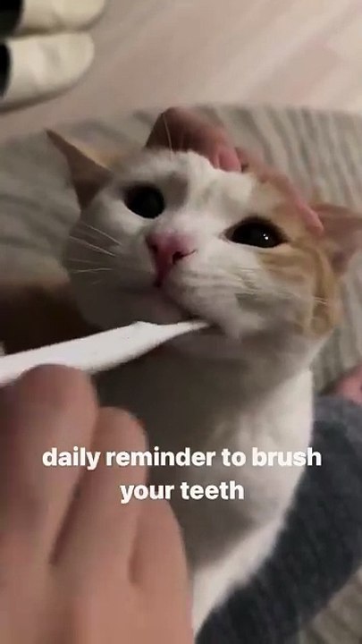 Jangan lupa sikat gigi
