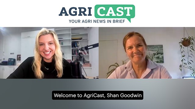 AgriCast Episode 15: December 5, 2024 | Beef market trends and US supply shortages