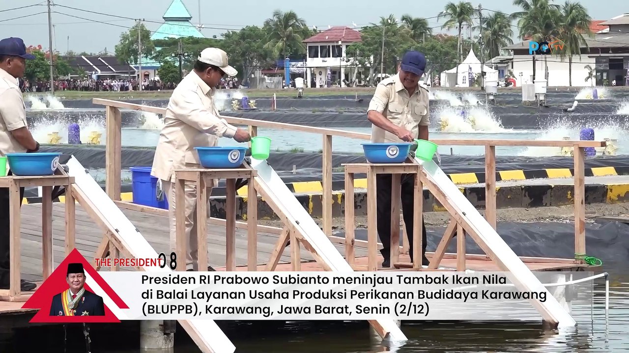 Prabowo Kunjungi Tambak Ikan Nila Salin di Karawang, Cek Potensi Bahan Makan Bergizi Gratis