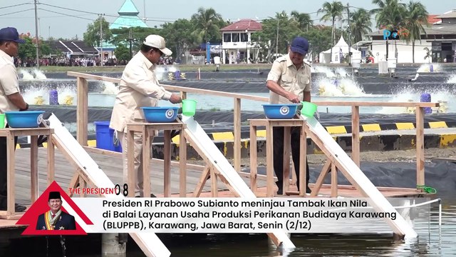 Prabowo Kunjungi Tambak Ikan Nila Salin di Karawang, Cek Potensi Bahan Makan Bergizi Gratis