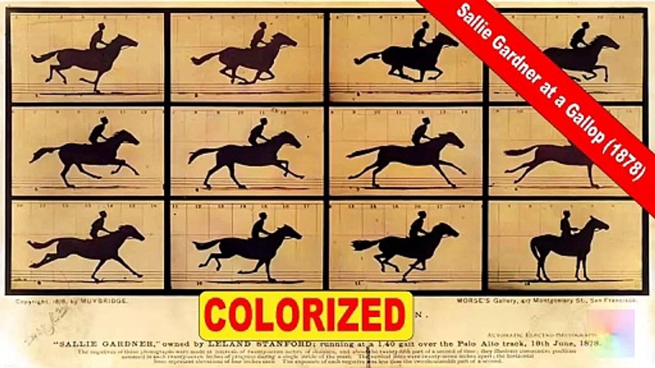 Sallie Gardner at a Gallop (1878) | The Horse in Motion | Old Colorized Movie