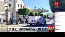 Feligreses hallan feto dentro de la Catedral de Tehuacán, Puebla