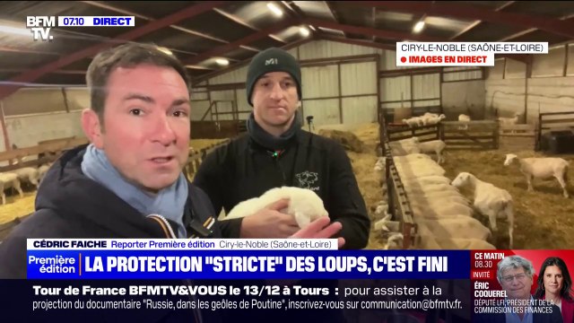 Le loup est désormais rétrogradé d'espèce strictement protégée à protégée en Europe, un soulagement pour cet éleveur