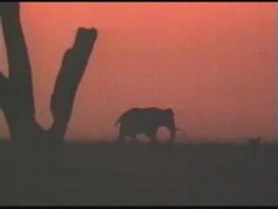 Sandra * Johnny wanna live *