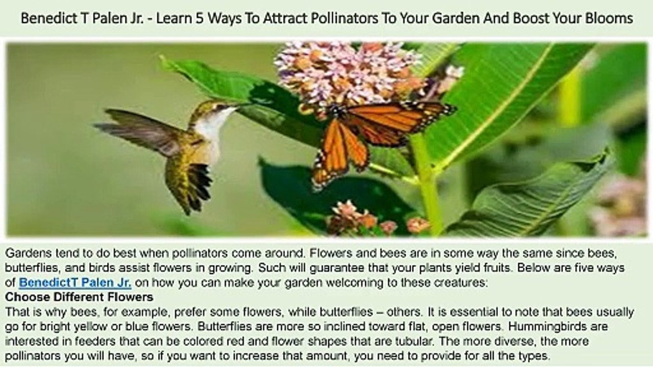 Benedict T Palen Jr. - Learn 5 Ways To Attract Pollinators To Your Garden And Boost Your Blooms
