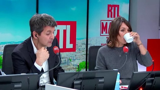 Tout savoir sur les sapins de Noël