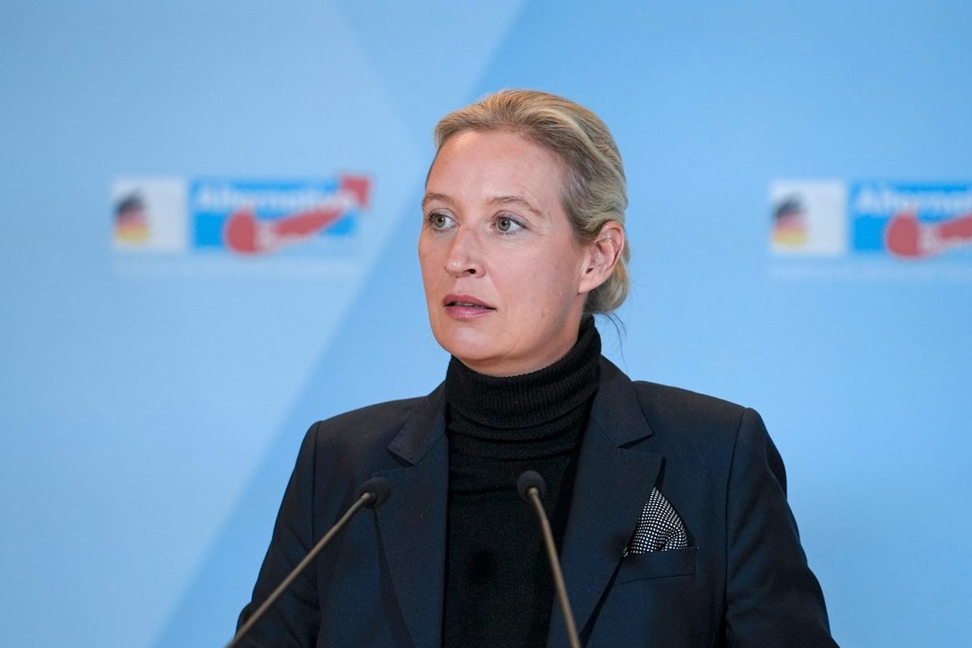 AfD-Vorstand will extremistische Jugendorganisation auflösen