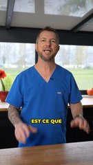 Les 3 plus grands chiens du monde !