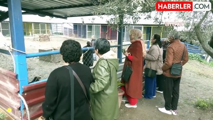 Aydın'da Bir İş İnsanı Beş Yıldızlı Otelini Emeklilere Açtı… Yıl Boyunca 500 Emekli Ücretsiz Tatil Yapacak