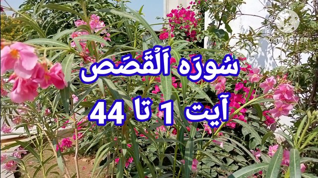 Surah Al Qasas | Ayat 1 to 44 | best qirat recitation | reading quran | bubak learn quran |
