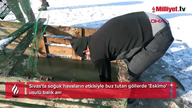 Buz tutan göllerde 'Eskimo' usulü balık avı