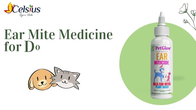 Gentle Yet Effective Ear Mite Treatment for Dogs by Celsius Herbs