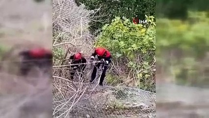 Tellerde mahsur kalan kedi itfaiye operasyonuyla kurtarıldı