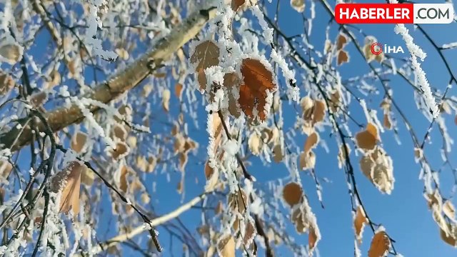 Kura Nehri Buzla Kaplandı
