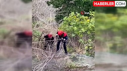 İzmir'de İtfaiye Kediyi Tellerden Kurtardı