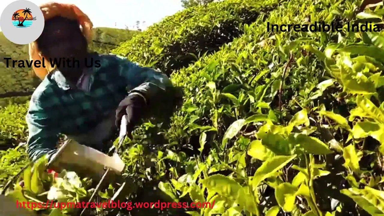 Incrredible India