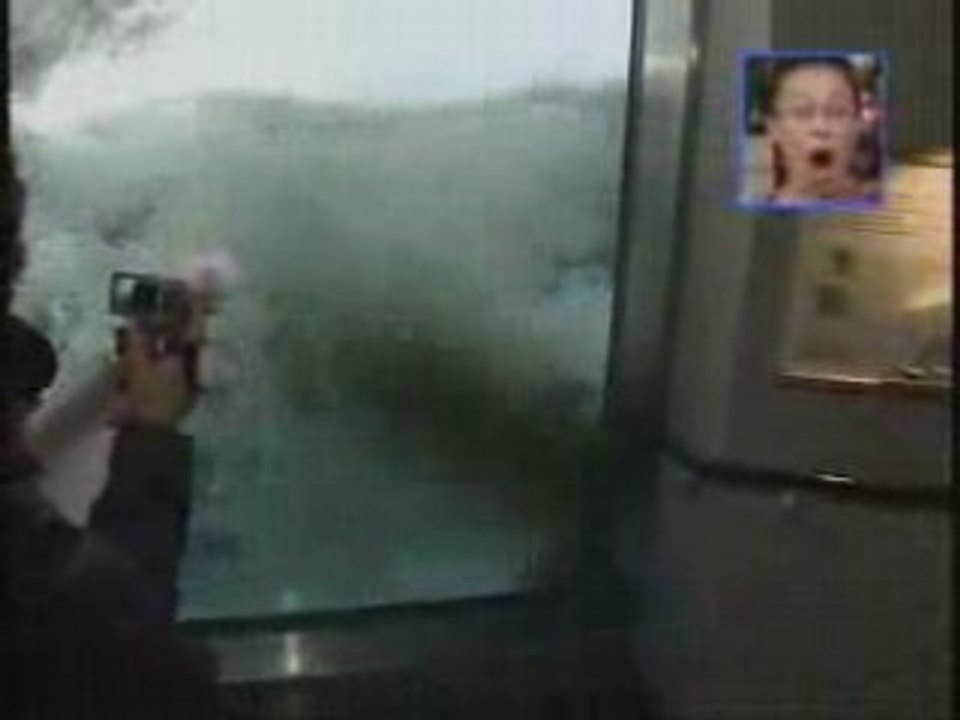 Ours polaire attaquant un phoque humain