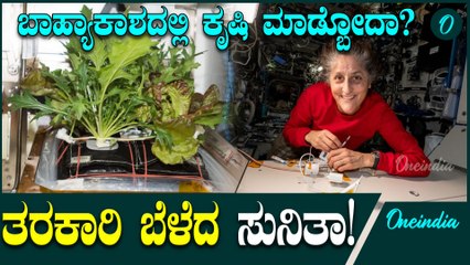 ಬಾಹ್ಯಾಕಾಶದಲ್ಲಿ ತರಕಾರಿ ಬೆಳೆದ ಸುನಿತಾ ವಿಲಿಯಮ್ಸ್! ಯಾಕೆ? ಹೇಗೆ?