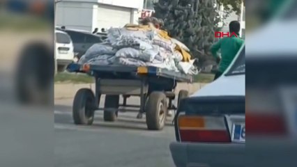 Şanlıurfa’da ata eziyet kamerada