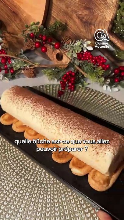 Bûche tiramisu de Noël
