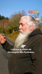 Après une reconversion, René est devenu éleveur de Montagne des Pyrénées, plus connus sous le nom de patou. Pour neo, il partage sa passion et l’amour qu’il porte à ses chiens. 🐶