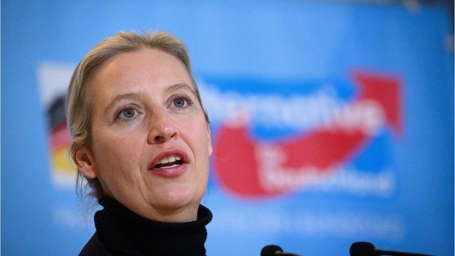 AfD : Interessante Fakten über die Alternative für Deutschland