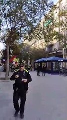 Aparatoso incendio en Consell de Cent: dos heridos graves