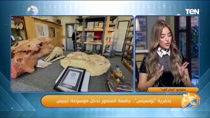 تفاصيل اكتشاف "توتسيتس" أصغر حوت عمره 41 مليون سنة في مصر والأول من نوعه في العالم