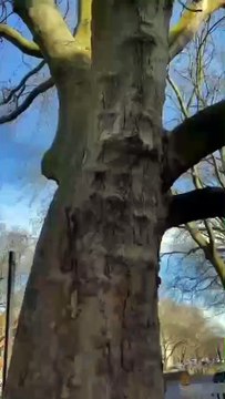 DIY Tree Bark-Inspired Textured Canvas Art | Unique Wall Décor Idea