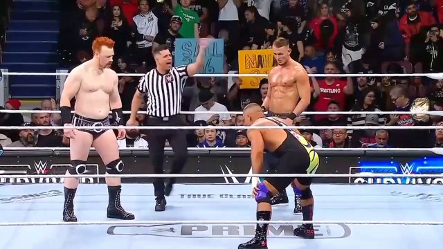 Bron Breakker Vs Sheamus Vs Ludwig Kaiser WWE Survivor Series Wargames 2024