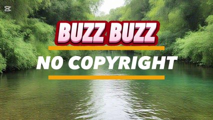 Buzz buzz music only $60