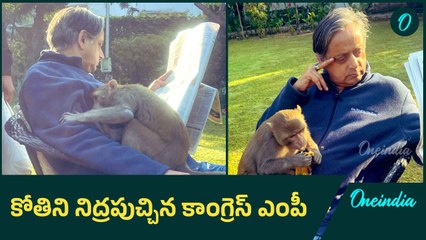 చంటి పిల్లాడిలా ఎంపీ ఒడిలో నిద్రపోయిన వానరం | Heartwarming Encounter With Monkey | Oneindia Telugu